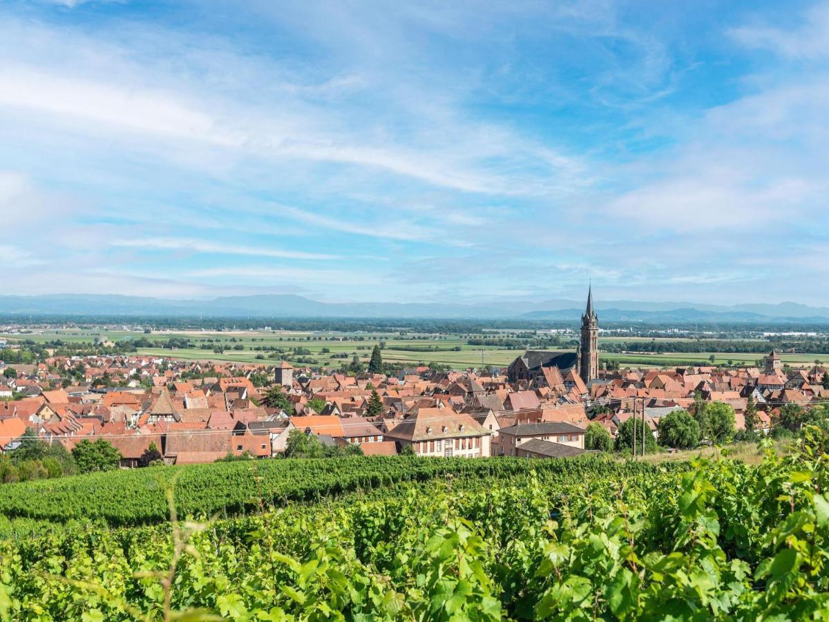 Charming Gite In Dambach La Ville With Terrace Exteriér fotografie
